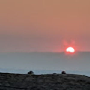 Meet your Posher, Melon